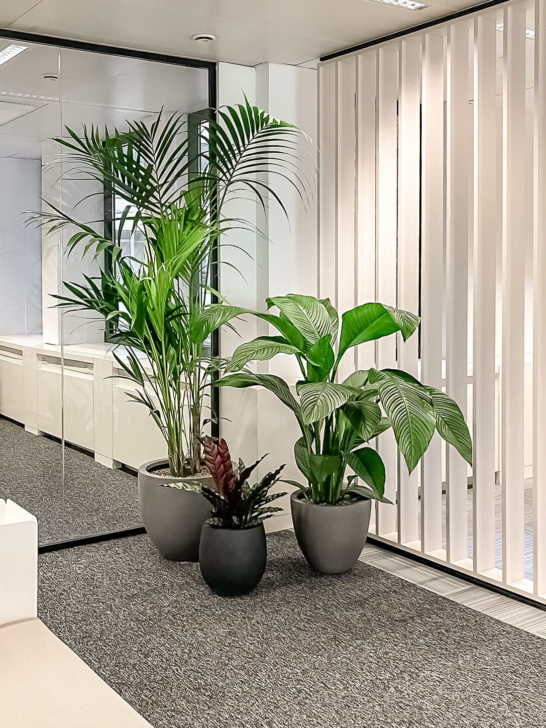 kantoor-spiegel-hoek-plant